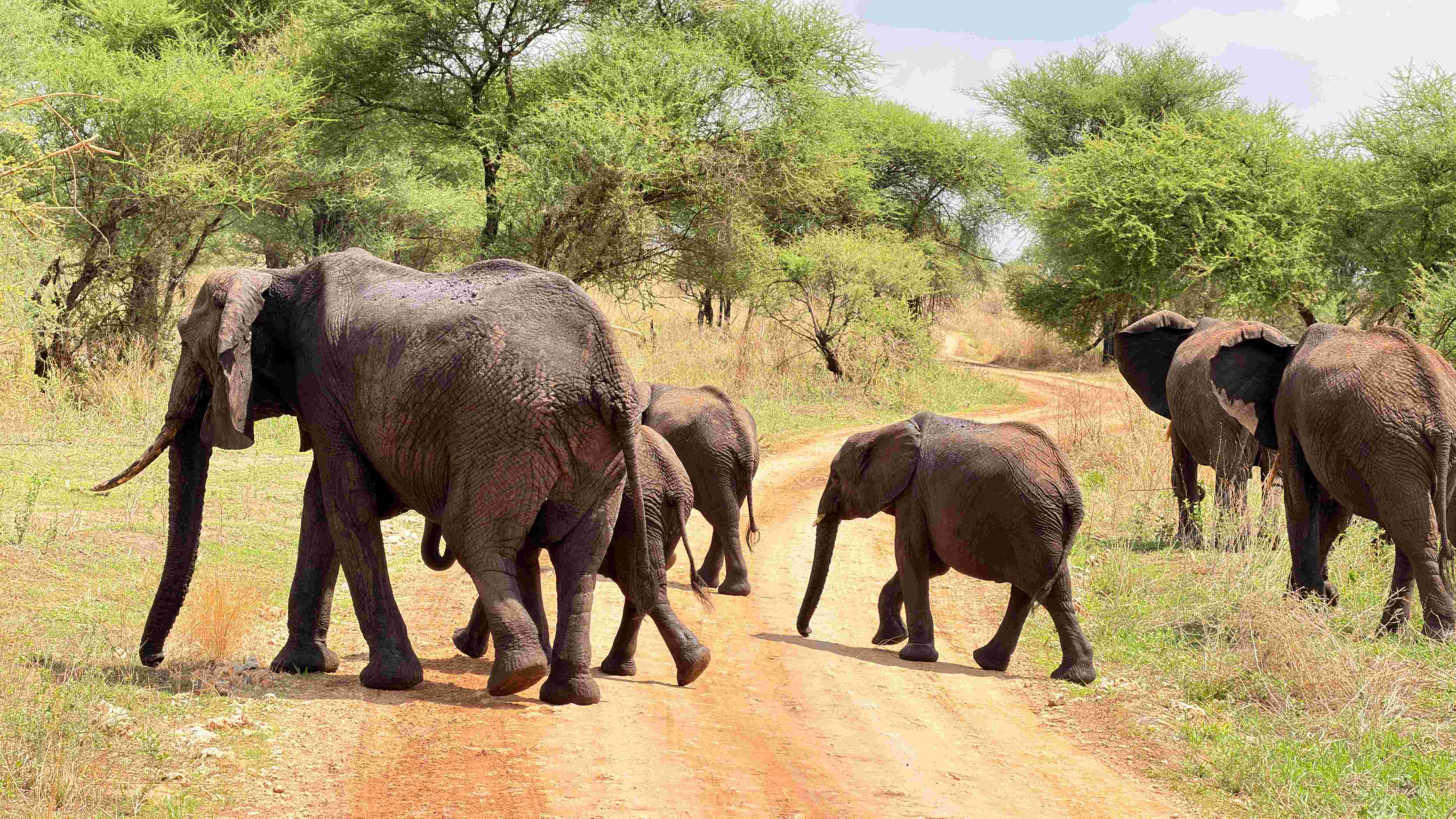 Tarangire National Park